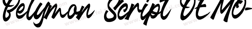 Belymon Script DEMO字体转换